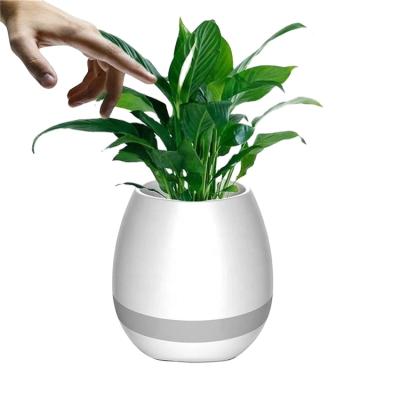 China Minimalist Smart Music Plant Bonsai Ornamental Succulent Flower Pot for sale