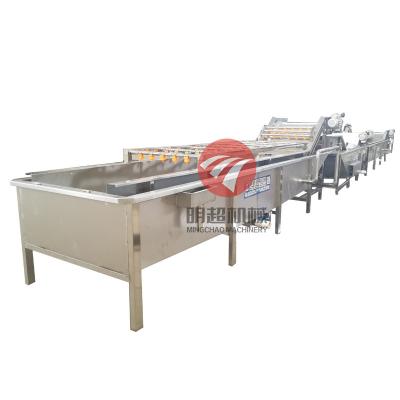 China Fruit processing plant automatic vegetable and fruit washing machine fruit and vegetable bubble washing machine industrial fruit and vegetable washin for sale