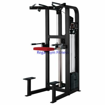 China Wholesale High Quality Chin China Gym Fitness Equipment Commercial Use Gym Equipment Aid Immersion for sale