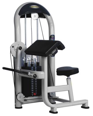 China Commercial Use Fitness Equipment Biceps Curl Strength Training Gym Equipment for sale