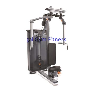 China China Fly's Latest Commercial Use Fitness Product / Delt Back Commercial Grade Gym Functional Equipment for sale