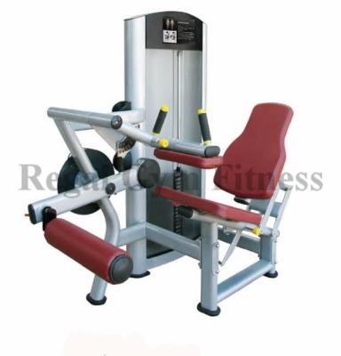 China 200kg Life Fitness Gym Leg Loop / Higher Quality Equipment Seated Exericse Machine for sale