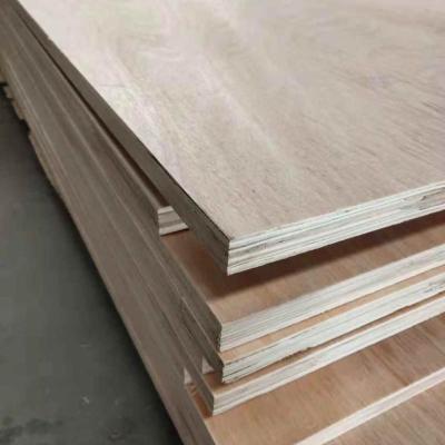 China Traditional Plywood Lumber for sale