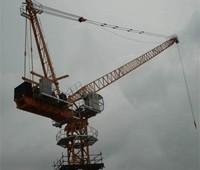 China D220 Luffing Crane max load 10t--minglongmachinery@gmail.com for sale