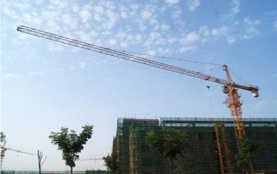 China Tower Crane with 55m Height Under Hook, 1.3ton Tip load Tower Crane 5013 for sale