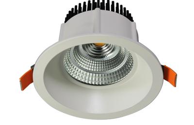 China High Brightness Cold White 1350Lm 15w ED Ceiling light COB LED Lamp for sale