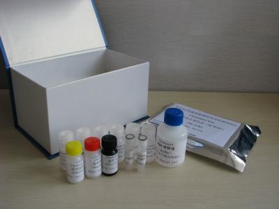 China Chicken Interleukin 2 (IL-2) ELISA Kit for sale