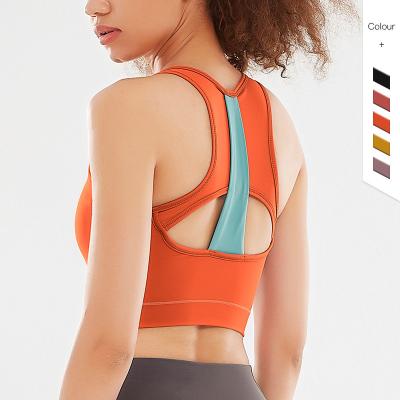 China 2022 New Design Color Sports Bra Women Elastic Fitness Female Yoga Bra Breathable Fabric One Piece Custom Running Bra for sale