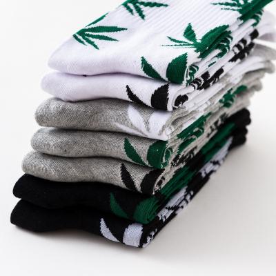 China Antibacterial Hip Hop Mens Sprout Socks Maple Leaves Socks Weeds Novelty Crew Socks for sale