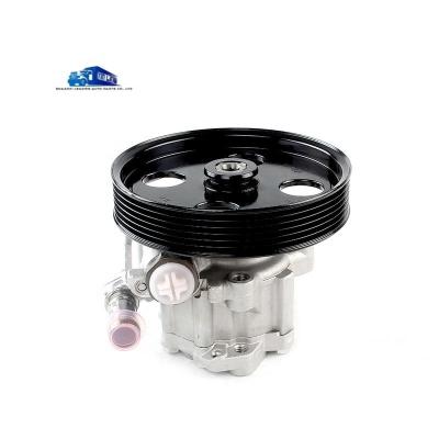 China Yunnei D19 Engine Steering Booster Pump X197091 Steering Oil Pump for Replace/Repair for sale