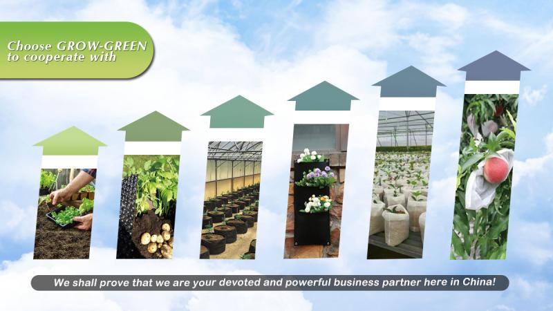 Verified China supplier - Jiangsu Grow-Green Agriculture Science And Technology Co., Ltd.