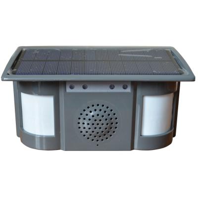 China Solar Power PIR Motion Detector With Voice Outdoor Warning HS-237SP for sale