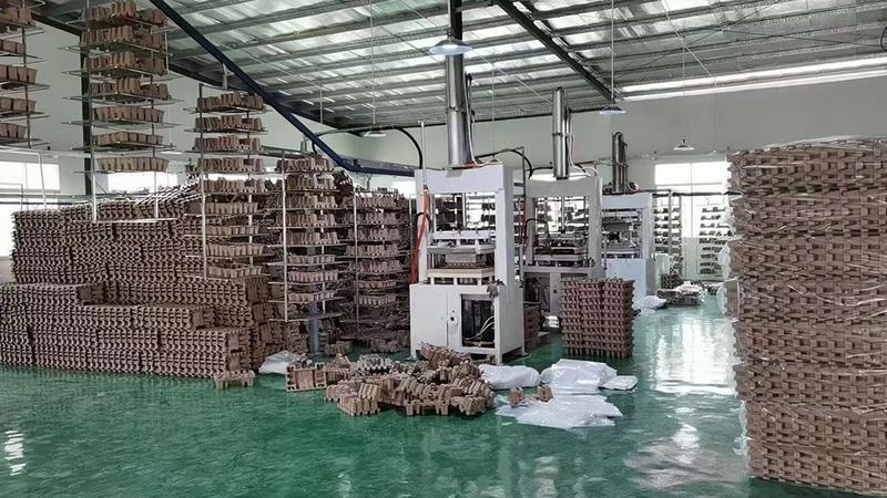 Verified China supplier - Dongguan Xumeng Paper Mould Co., Ltd.