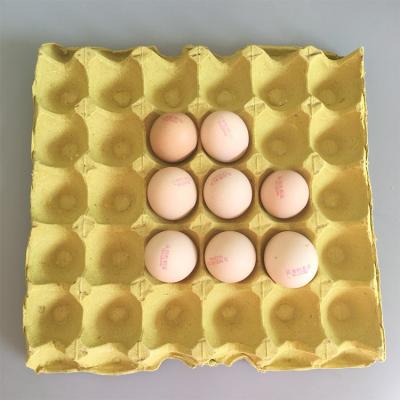 China Biodegradable Inner Packaging Custom Design Fiber Paper Pulp Molded 30 Holes Chicken Egg Cartons Trays for sale