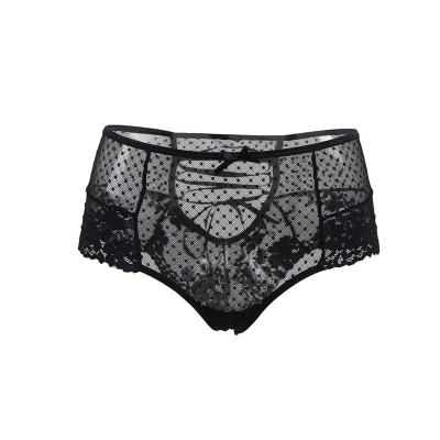 China High Quality Breathable Lace Underwear Summer Hippie Wear Series Quick Dry Women's Underwear Sexy Briefs for sale