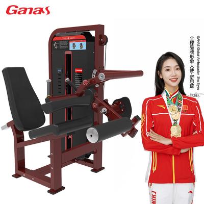 China Ganas Universal Fitness Leg Curl Gym Equipment Leg Curl Indoor Commercial Fitness Center Seated Machine for sale