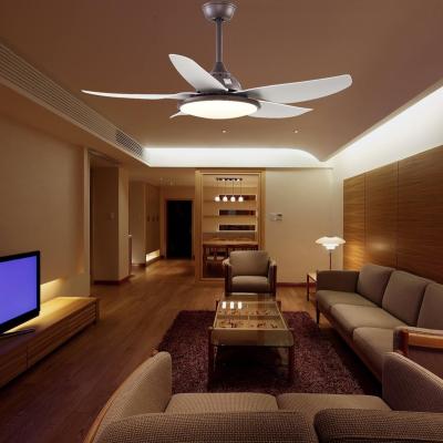 China Modern Decorative Energy Saving Bladeless Black Remote Control Led Ceiling Fans With Light for sale