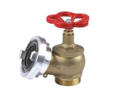 China fire hydrant valve for sale