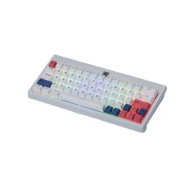 China Wholesale Retail Type C Gaming DIY Keyboard RTS 60% Aluminum Wireless Mechanical Keyboards RGB for sale