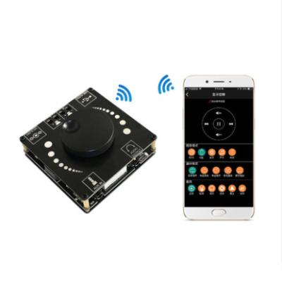 China Blockable High Fidelity Burn 2.0 Digital Amplifier50WX2 Speaker Audio Amplifier Stereo Reverse Connections TPA3116D2 60x60x16mm for sale