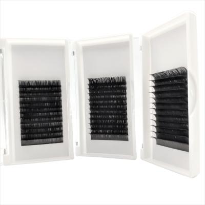 China Natural Soft High Quality Eyelash Extension 12 14 16lines Stick Korea Box Premade Eyelash Extension for sale