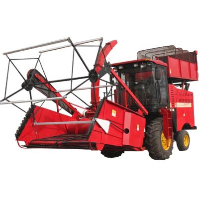 China 4QZ-12 high quality self propelled corn silage/forage harvester for sale