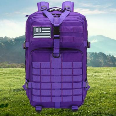 China Large Capacity Travel Backpack Waterproof Sports Backpack Women Backpack Manufacturer for sale