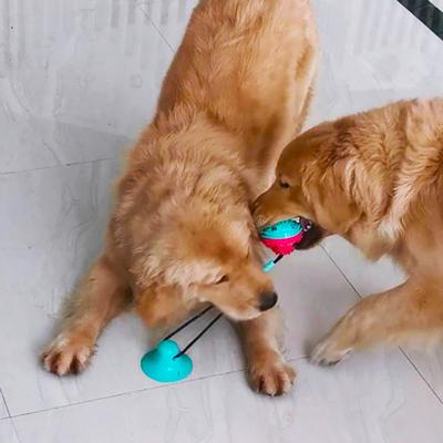 China New Molar Bite Suction Cup Food Leakage Rubber Interactive Dog Stored Toy Combination Pet Supplies for sale