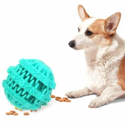 China New Arrival Stocked Border Pet Supplies Spherical Dog Molar Rod Toy Bite-Resistant Bone Toothbrush Dog Toy for sale