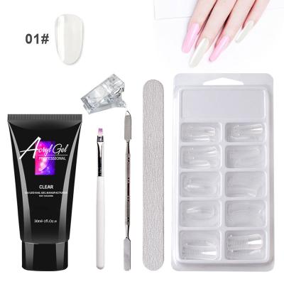 China Easy Apply Nail Gel Kit Clear Pink Fall Winter Poly Extension Kit Gel Nail Enhancement Set For Manicure for sale