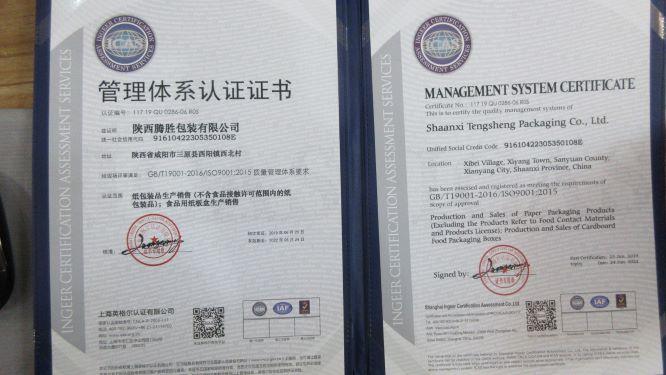 ISO9001 - Shannxi TS Packaginig Co., Ltd.