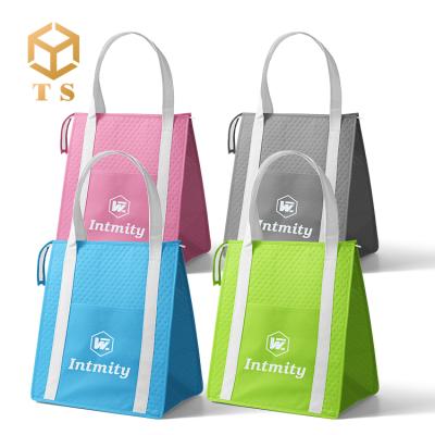 China Waterproof Custom Logo Mini Small Food Warmer Delivery Picnic Lunch Caterer Insulated Thermal Bag for sale