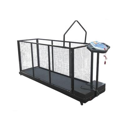 China New Products Sustainable Quality Assurance Reasonably Priced Sheep Treadmill for sale