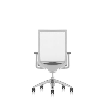 China Mesh Adjustable Office Beauty Chair BT-03W (Height) Ergonomic Office Chair in One Piece Frame with Adjustment Armrest for China Staff for sale