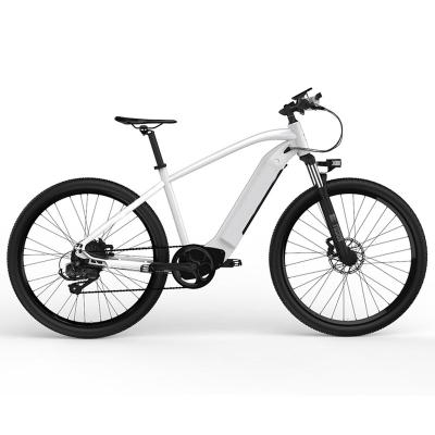 China Aluminum Alloy Ebike Electric Bicycle Men Small Other Electric Bicycle Electric Bicycle 750 Watt Electric Bike Car for sale