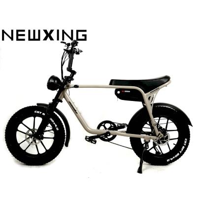 China New Style Aluminum Alloy Fat EBike Off Road Playing Big Wheel Electric Bike Well-chosen City Shopping Electric Bike for sale