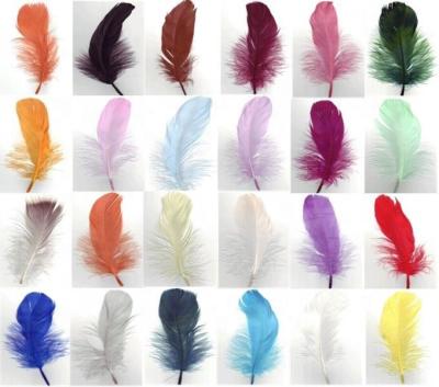 China 20cm Goose Feather 12 Fin Feather Feather 12 Feathers for Carnival Costume Decoration for sale