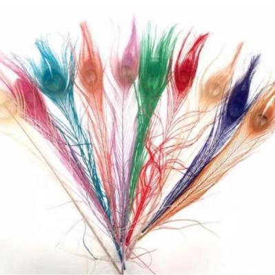 China 12inch (30cm) Bleach Dyed Peacock Feather Feather Feathers for Christmas Decoration for sale