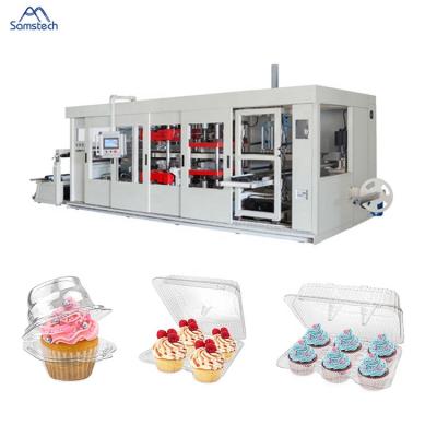 China High Quality Automatic Plastic Seedling Hotels Tray Forming Machine For Food Packaging for sale