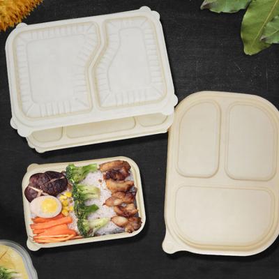 China Water Proof Disposable Sugarcane Bagasse Fast Food Food Container Oil-Proof Stackable Food Container With Lid for sale