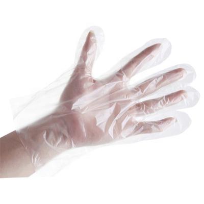 China House Cleaning Clear Color Plastic Polythene Kitchen Waterproof Disposable PE Gloves for sale