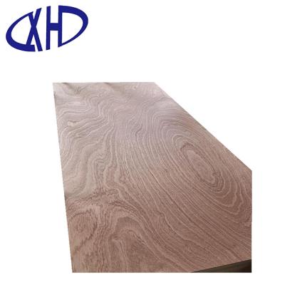 China Contemporary HIGH QUALITY sample DOOR 4mm SKIN poplar core/hardwood/PLYWOOD/door cladding panel combi for sale