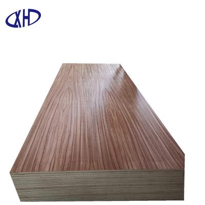 China Traditional nature PAROTA veneer plywood for poplar core/hardwood/furniture design E1/E0 glue combi for sale