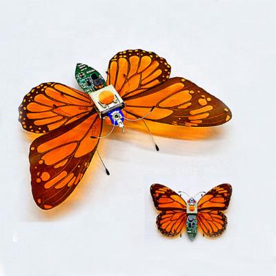 China Educational Toy LXXTECH-10425 DIY Insect Electronic Butterfly Model for sale