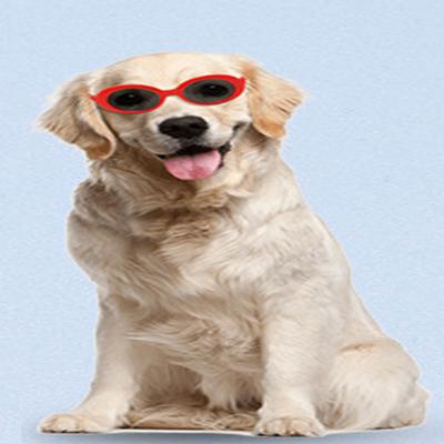 China 100% Protection Pet Accessories Pet UV Mini Glasses Sunglasses for Cat and Dog Prevent Wind and UV Protection Hot Sales for sale