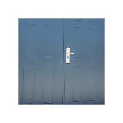 China New Design Waterproof Steel Iron Security Doors Metal Security Good Quality Heat Proof Modern Entrance Door for sale