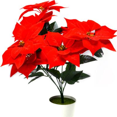 China Elegant Faux Silk Wholesale Artificial Plant Poinsettia Flower Blush Poinsettia Decorative Flowers Cheap Price for sale