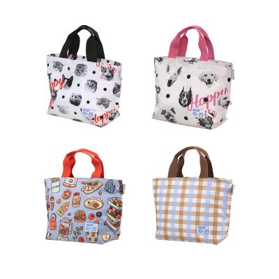 China Wholesale Custom New Designs Waterproof Insulated Waterproof Cooler Bags and Eco-friendly Thermal Kids Lunch Bag for sale