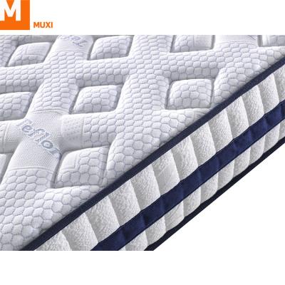 China American Style Pillow Low Price Comfortable / Strength / Tenacity Luxury 7 Head Zoned Pocket Spring Roll In Box for sale