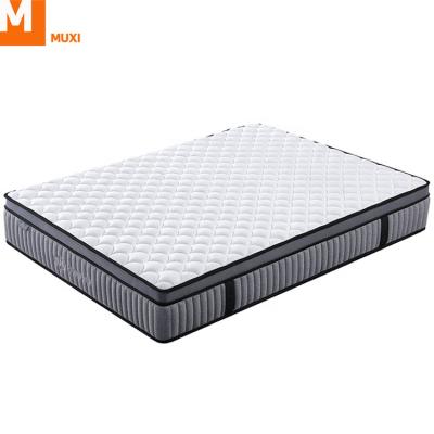 China King Koil Price Factory Price Comfortable/Strength/Toughness Angelica Single Kurlon 8 Inch Taste Latex and Pocket Box Spring for sale